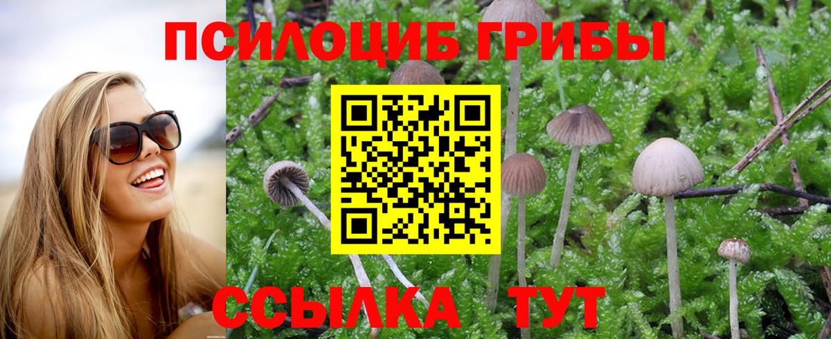 Псилоцибиновые грибы мухоморы  купить наркоту  Галлюциногенные грибы ЛСД  Выборг  Вход с VPN 
