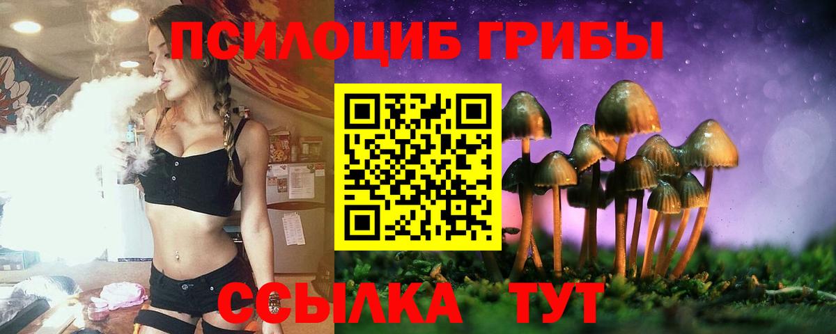 Псилоцибиновые грибы прущие грибы Выборг